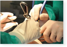 gloves_surgical